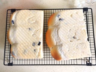 13、一次性发酵葡萄干椰子油白吐司,侧卧图：刚刚出炉的吐司，还不稳定，等放凉后再进行其他操作