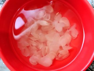 5、养颜羹,泡发好的皂角米换水备用（水量刚好没过食材）