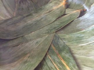 4、糯米大晶糕,蒸锅加满水，将粽叶均匀的铺满