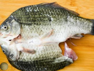 1、烤鱼,鲫鱼，从中间切开。