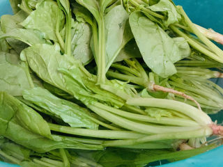 2、菠菜木耳炒鸡蛋,菠菜买一把，吃不完的部分放入袋子，放保鲜膜；