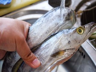 1、清蒸带鱼,带鱼洗净；