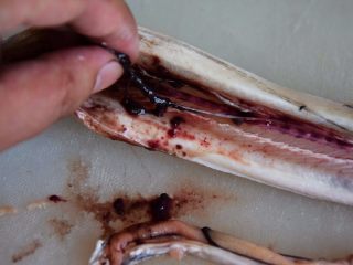 6、清蒸带鱼,内脏去除完，一定要去除内脏下面的血污线，这是鱼腥的主要来源；