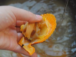 3、蒜蓉扇贝,去除干净的