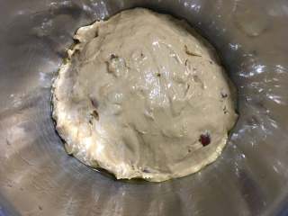 12、红枣面包,盆里刷一层薄薄的油,然后放入面团。烤箱开启“发酵”功能,将面团放至中层,发酵40-60分钟,根据室温的不同,发酵时间不同。