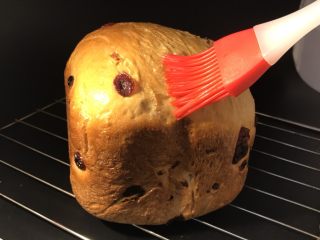 13、面包机版蔓越莓红糖面包,趁热带上手套取出，刷上一次黄油。