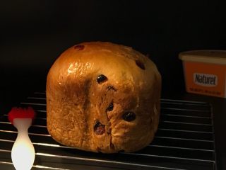 14、面包机版蔓越莓红糖面包,胖胖的你好喜欢。