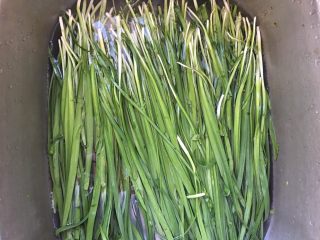 1、五分钟系列 韭菜炒鸡蛋,韭菜净泡洗净