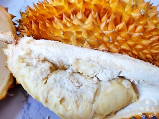 1、榴莲炖鸡,准备一个大榴莲，起床后榴莲就剩这么一块肉了，剩下的全是壳，煲汤首选厚壳啊哈。