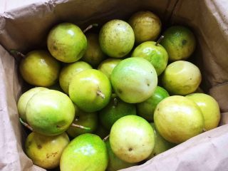 1、冬喝金色百香果蜂蜜茶,这些金色百香果是从广西玉林果园发往到天津的，因为运输需要一定的时间，商家发过来的金色百香果是在其没完全熟透摘下来的，金黄中泛有青色，放置一、二天后就变成金黄色的了。