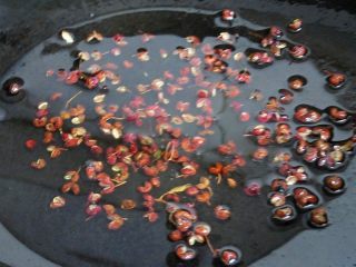 4、开胃火辣牛肉粉丝大锅炖,热锅注入油，烧至六成热，放入花椒炸出香味，捞出