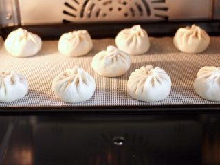 14、鸡肉黄瓜小笼包,把蒸盘放入蒸箱中间，100度蒸10分钟焖3分钟即可。