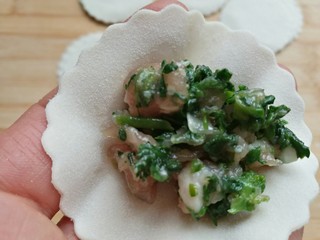 17、荠菜元宝水饺,包入荠菜肉馅。