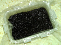 8、黑米枣糕,在保鲜盒中铺一层蒸好的黑米饭，压实