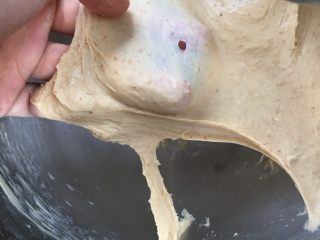 9、全麦红糖红枣欧包,厨师机暂停，拉扯面团时有明显阻力，撑开有薄膜和边缘光滑的破洞。此时加坚果干。