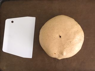 12、全麦红糖红枣欧包,刚一发的面团，放个刮板有参照物。