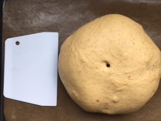 13、全麦红糖红枣欧包,40分钟以后，面团体积明显增大，面团手感非常柔软噢，里面充满了空气。