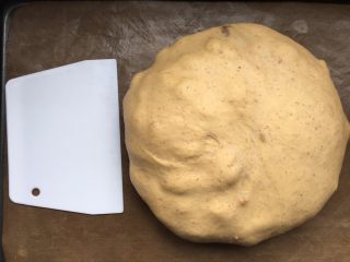 15、全麦红糖红枣欧包,一发结束，面团的体积明显增大。