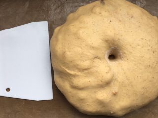 16、全麦红糖红枣欧包,手指粘高粉，戳面团中心初，洞口不回缩，一发完成，准备切割滚圆松弛。