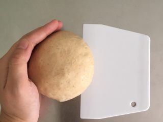 19、全麦红糖红枣欧包,将松弛好的面团轻拍排气，重新整成圆形。可以借助刮板整形噢。