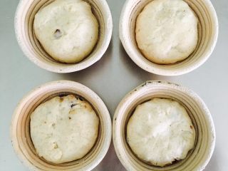 20、全麦红糖红枣欧包,发酵藤篮里撒全麦粉，将面团反方向放入，收口朝上。二发36度，45分钟。大约35分钟的时候开始预热烤箱。中层，180度上下火。