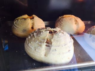 23、全麦红糖红枣欧包,割好以后直接送去预热好的烤箱，180度烤20分钟