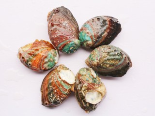 4、清蒸鲍鱼,鲍鱼壳很漂亮哦~