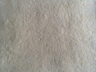 11、红枣黄豆粉吐司,擀开面团成长方形