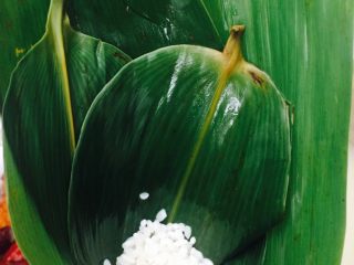 4、红枣粽子,两三层叶子叠置，卷成锥筒