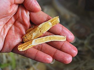 8、红枣母鸡汤,放入黄芪，大火煮开，转小火煲45分钟