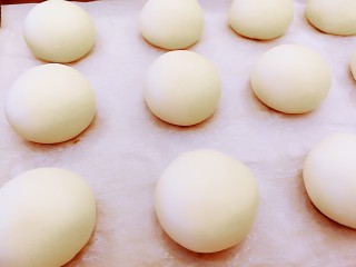 15、适合新手的一次性发酵酸奶小餐包,依次全部做好,放在烤盘上,中间注意留出间隙