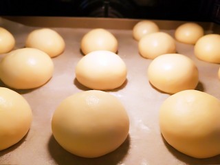 17、适合新手的一次性发酵酸奶小餐包,放入烤箱发酵(下面一定要放一盘热水),夏天室温发酵就可以了