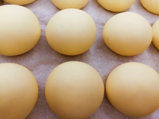 18、适合新手的一次性发酵酸奶小餐包,发酵至原来的1.5~2.0倍左右大小就可以了