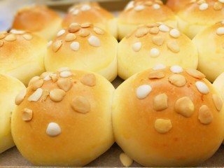 22、适合新手的一次性发酵酸奶小餐包,好吃的餐包出炉了