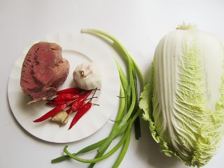 1、开胃火辣牛肉粉丝大锅炖,准备好所有食材，牛肉为熟牛肉