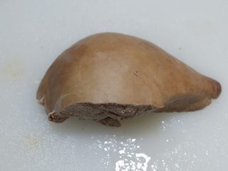 12、白切猪肝(卤猪肝),煮好的猪肝,在锅中泡2个小时以上,取出沥干水。