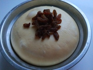 12、红枣面包,加入红枣干。