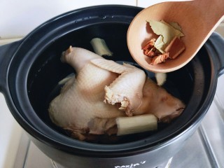 7、煲汤时加上它，营养好喝又不腻，这个季节要多,再加入香料，盖上盖子大火烧开， 之后用汤勺撇出浮沫，加入料酒，盖上砂锅盖子转小火慢炖2小时左右，可以用筷子扎一下来辨别母鸡是否酥软。