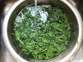 4、#咸味#美味的猪肉荠菜高汤馄饨,煮恹恹的荠菜捞出来，立即用凉水过一下，去掉热气