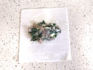 16、#咸味#美味的猪肉荠菜高汤馄饨,分享元宝馄饨的包法：取一张馄饨皮，中间加入适量的肉馅儿