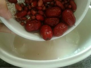 2、补血五谷粥,如图。洗干净倒入炖盅