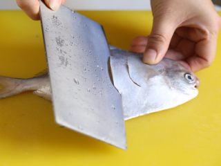 3、蒜香鲳鱼,将鲳鱼去掉肚里内脏，洗净。将鱼放案板上，斜划几刀。