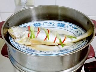 16、披红戴绿的蒜香红辣椒蒸黄鱼,放葱白，淋料酒，蒸锅水开放进去蒸八分钟焖三分钟