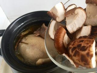 23、冬日进补系列➕当归黄芪枸杞鲜鸡汤,放入花菇块