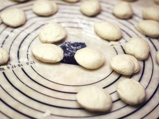 7、生煎包,将醒发好的面团分割15克一个