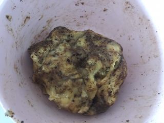 16、咖啡硬脆饼干,然后抓均匀，是抓、抓、抓！不是揉喔！揉的话面团会起筋，那就不脆了！