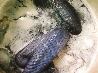 4、当归黄芪乌鸡汤,烧开