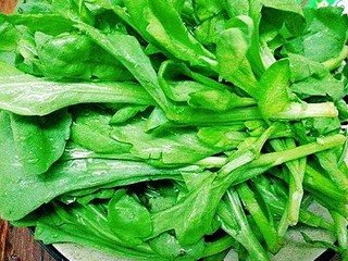 9、一锅炖+海鲜烩锅,鹅菜也写作蛾菜、义菜(福州方言区鹅、义同音),学名南茼蒿 也有地区叫蓬蒿、菊花菜、艾菜等,名字众多。涮锅首选的青菜✌✌✌✌✌✌