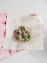 15、荠菜猪肉馄饨,取一张馄饨皮放在手里，将适量的馅料放在馄饨皮的中间
