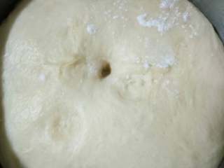 3、toast吐司,揉完后开始发酵到2倍大 ,大概一小时左右 发完检测用手指测试阻力不发 不回缩就好了